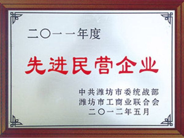 先進民營企業(yè)